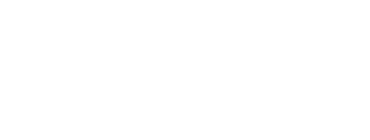Techie Asset Management